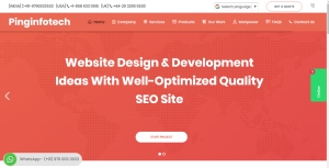 Website Designing Company in Chennai | Pinginfotech